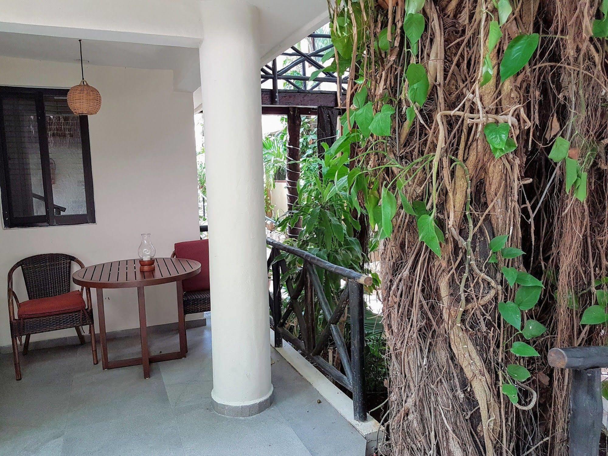 Hotel Club Yebo Плая дел Кармен Екстериор снимка